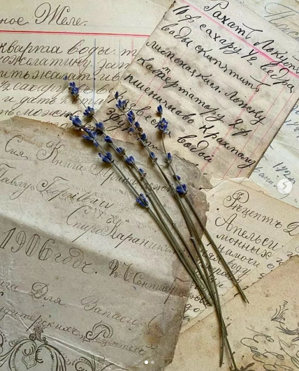 [Ирина Таро] Проект Реконструкция (2022)_0.png